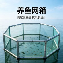 养鱼箱网鱼苗养殖网箱加厚漂浮养鱼护防逃笼折叠大口径暂存鱼箱网