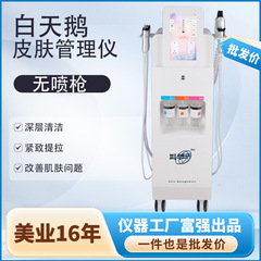 ソースメーカー ホワイトスワン スキンマネジメント機器 リフティング、引き締め、美白、浄化美容機器 美容室用