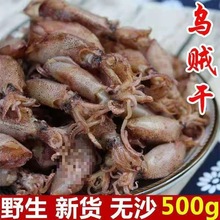 小海兔干货500g海兔子干海鲜小鱿鱼仔乌贼笔管鱼非即食墨鱼干