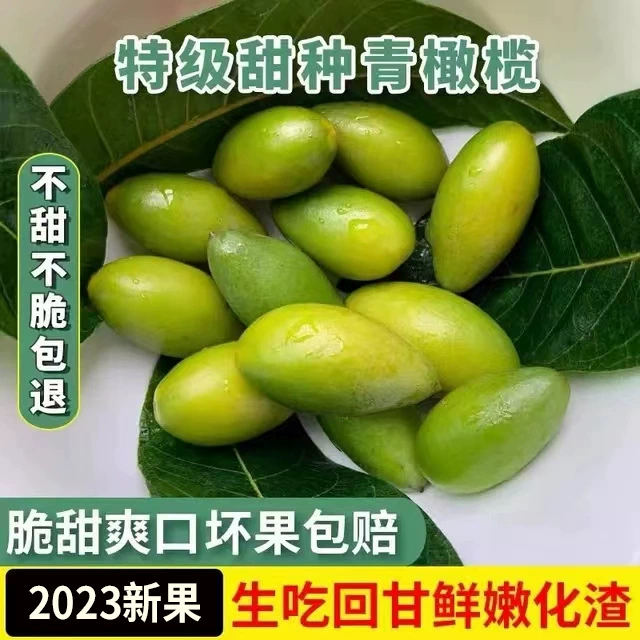 Фуцзянские специальные зеленые оливки № 2 Сладкие оливки свежие зеленые фрукты
