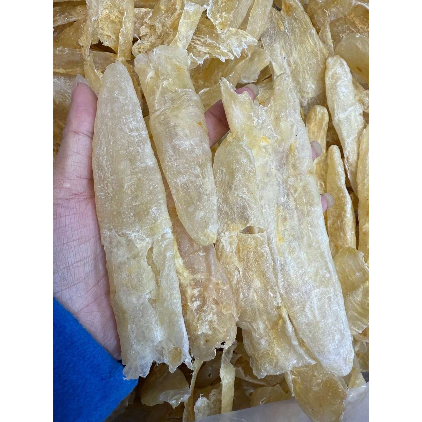 60�^��ˮ�z�S��Ͳ�~�z��؛�~���~�z���z��؛�ЋD���aƷ�S���z����