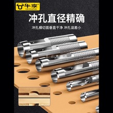Ƥ���_����Ƥ�������_�ӈA�_�^�㹽�ľ�펧�_�׹��߼����ք�С