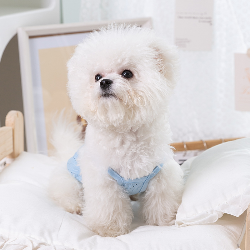 Primavera y verano cachorro parche simple Sling delgada malla transpirable gato pies mediano y pequeño perro ropa para mascotas