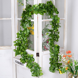 �����ٗlֲ�� ��ɽ���G�}�����~�bGֲ�������ٳ������~�����l