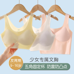 Carefully Selected Girls' Intimates, Developmental Period Tube Top, Junior High School Students' Chest-Wrapped Thin Seamless One-Piece Girl's Bra
