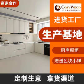 可塞丽整体橱柜厨房家具套装定制橱柜门组合加工厂