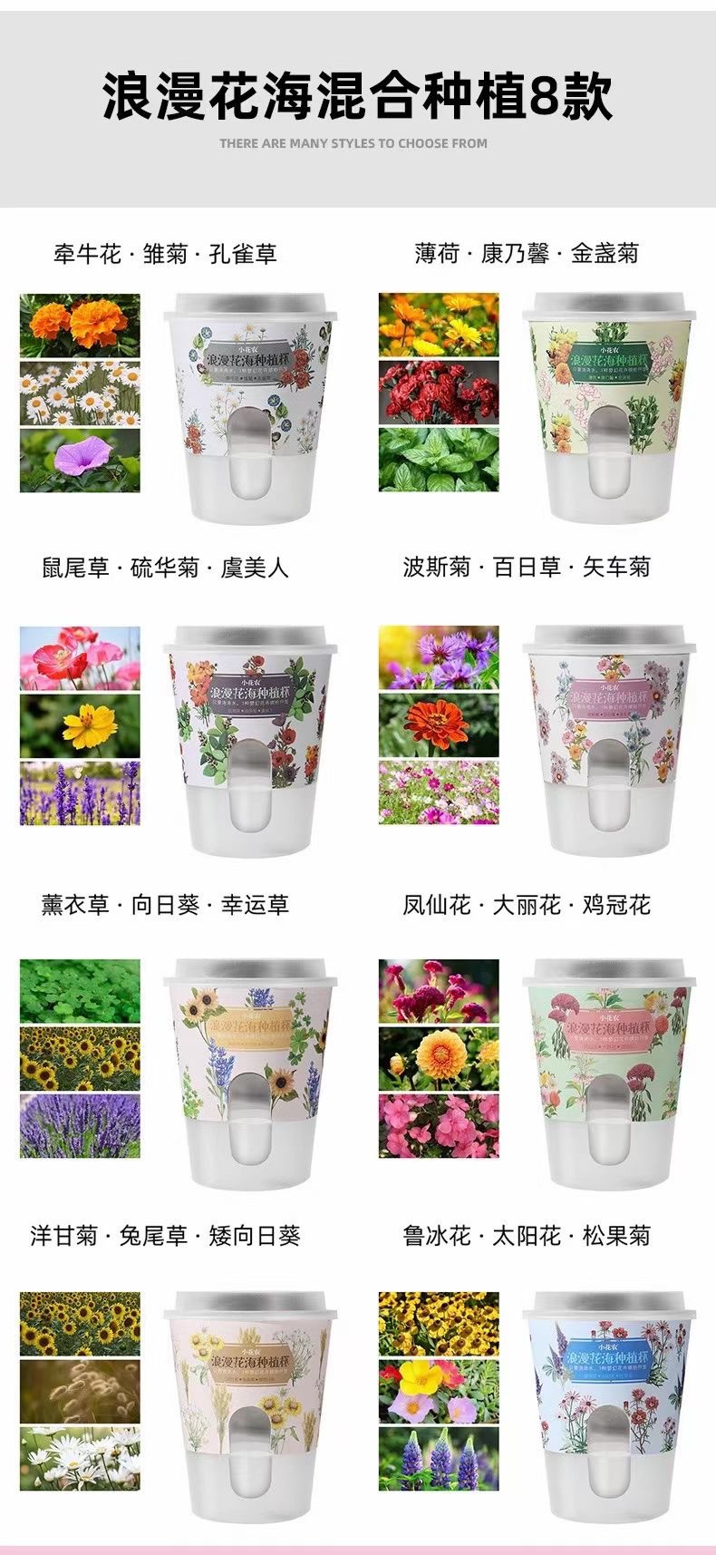 빛나는 꽃 바다 시리즈 혼합 (싱글 박스 가격)