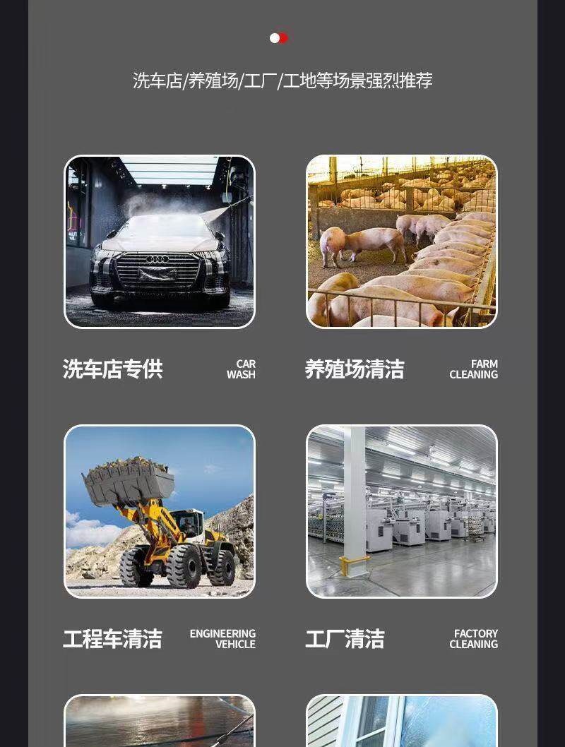 Black Cat Car Wash Machine High-Pressure Water Gun for Home Use 220V Car Cleaning Tool High-Power Portable Cleaning Machine with Pressure Booster Pump