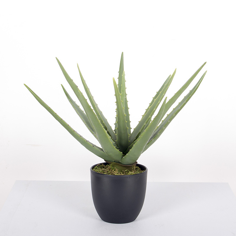 Decoración del hogar suculentas plantas en macetas simulación suave aloe vera bonsai alta simulación suculentas plantas verdes falsas en macetas image 7