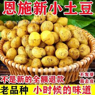 ��ʩ����������ɽ�����R����S�����r�r���Ԯaֱ�l