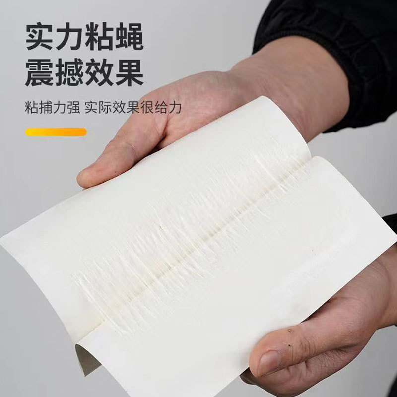 Mosca pegatina mosquito pegatina casera pegatina