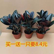 ��Ƥ���Iһ��һ�ڽ������ԃ����՚��҃��ļ����~�Gֲ���B�k����