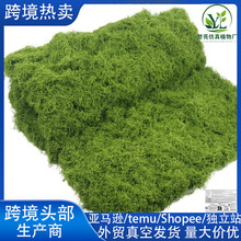 跨境仿真苔藓草皮青苔造景地毯盆景铺设苔藓微景观绿植装人工苔藓