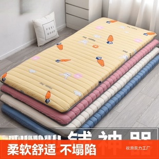 Mattress Dormitory Mattress Single Mattress Double Bed Student Rental Children's Sponge Mattress Home Bed Moisture-Proof Soft Vision Bubble