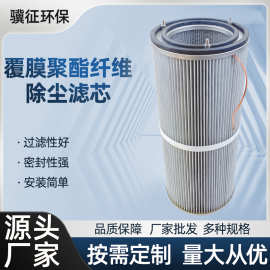 批发覆膜聚酯纤维除尘滤芯工业除尘滤芯滤筒粉尘净化设备配套滤筒