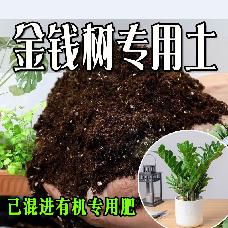 Money Tree Soil, Nutritious Soil, General Organic Flower Growing Soil, Green Plant Organic Fertilizer Planting Soil