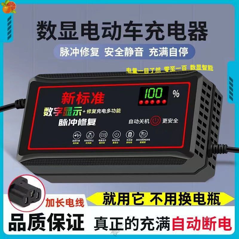 数显断电智能二三四轮电瓶车充电器486072/20中国其他呢和