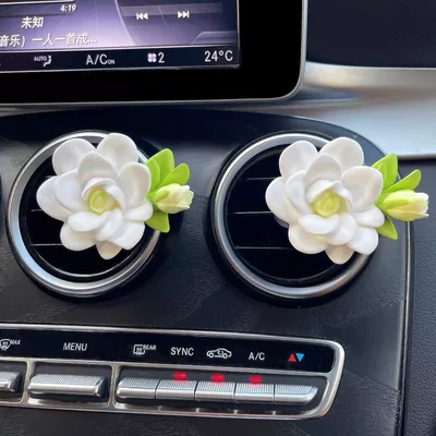 Car Perfume Aromatherapy – Style - 2-gardenia-air-outlets-2-bottles-of-perfume-included-other-scents
