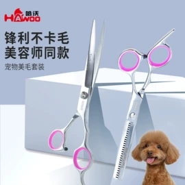 猫猫玩具;狗狗食具;狗狗玩具