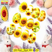 12��ɫ���r�G��ľ�|���յ��Ғ��b� �m���ͥԺ �Ɍ�����b���
