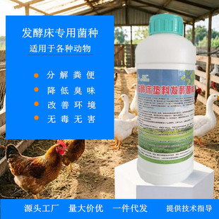 �l�ʹ��|�Ͼ��N�Bֳ�l�̈́��u���Z��ţ���i������üS�㽵�������