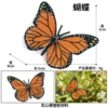 Kz-butterfly