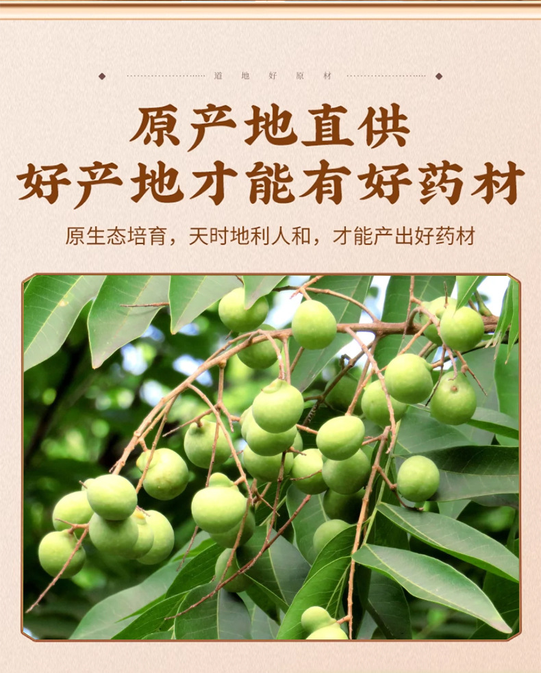Soapberry Fruit Peel Wu Huan Zi Dried Soapnut Husk Hair Wash Packs Natural Saponin Rinse 50g Bag key features