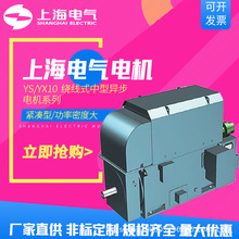 Ϻ늚⼯FϺ늙CS늄әCYS YX1.0@ʽͮ늙C 250kW