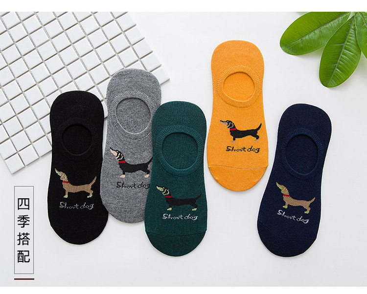 狗狗细节 (17).jpg