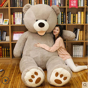 ����ë�q��߹���2.6m����̩���ܱ�������ż�ͶY��̖�Y�����ޏS��