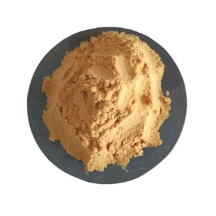 �ԁ�ˮ���������������x�S���Ԯa���N25������b �ۺ������F