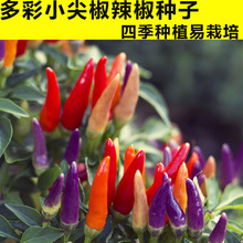 С⽷N쿹Ƥļ߲˷NѴȫƷN