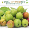 [Fujian March plum Sending chili powder]Delicious Plums fresh pregnant woman Fruit 5 One piece On behalf of