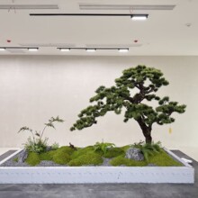 �����쾰���ͷ����_�h��ӭ���ɼ��쾰�Gֲ�҃��b����[�O�b�