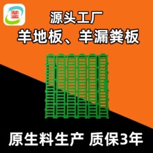 羊地板 羊床漏粪板 羊用漏粪板 羊漏粪板养羊专用漏粪地板