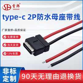 type-c 2Pin母座IPX6级防水带线带防水圈可定ZUSB连接器母头厂家