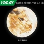 校用高校组织病理玻片