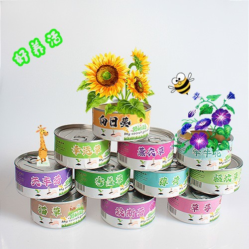 室内种植小铁罐装花卉桌面种植个性易拉罐种子花卉办公室种植批发