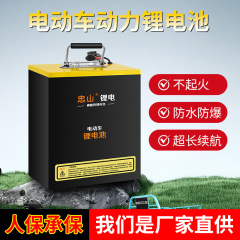两轮三轮车高容量48V磷酸铁锂60V外卖72V电动车锂电池长续航