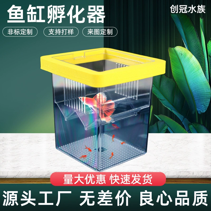 Маленькие мальки плавающие изолирующие коробки для кормления самки