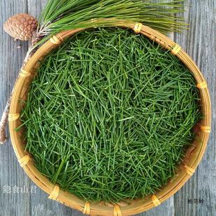 松针茶 全松茶 干松针茶叶 高原马尾松 野生松针500g 包邮-阿里巴巴