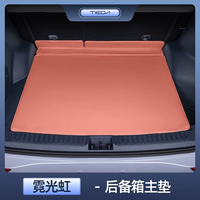 Coverage, 2024 Model, Special Car | Trunk Mat - zhenxuan-galaxy-e5-neon-rainbow-main-pad-tail-box-waterproof-and-anti-wrinkle-galaxy-e5