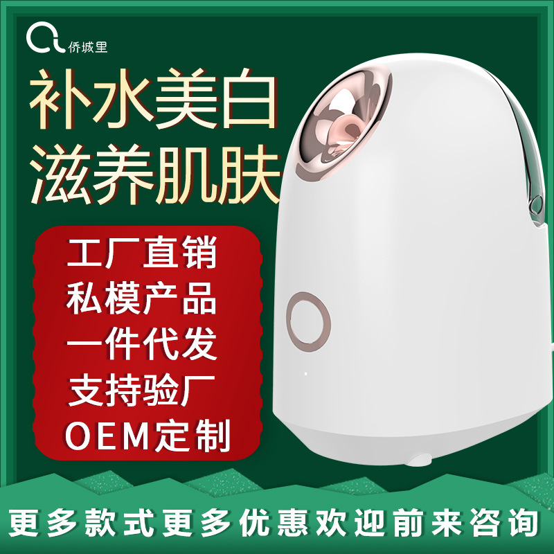厂家蒸脸器热喷纳米喷雾补水仪便携热喷面部加湿器家用美容仪批发
