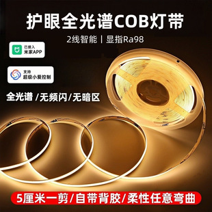 �o��cob������24V�͉���ճ���l���lȫ���V98�@led�Շ���ˮ��