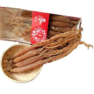 500g 100% Korean Red Ginseng Whole Roots �t��������M���]