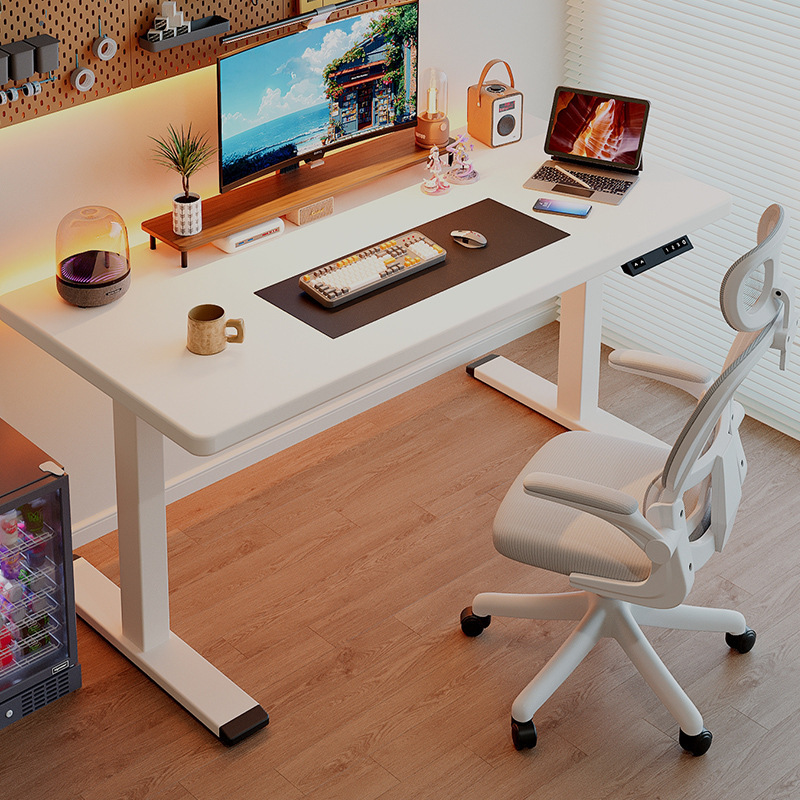 Electric Lift Table Computer Table Study Table Desk Home Office Desk E-Sports Game Table Liftable Workbench