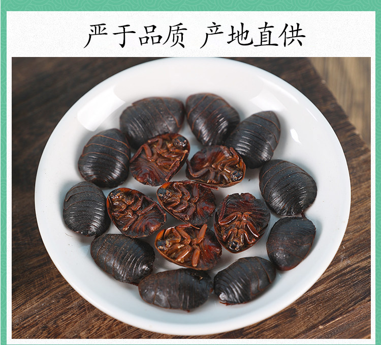 Wild Ground Beetle Tu Bie Chong Dried Whole Insect 500g Traditional Chinese Herb for Decoction and Grinding quality and texture