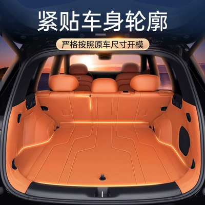 Fully Surrounded by 2025 New Trunk Mat