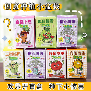 ͯ⿨ͨNֲäDIYСWƷGֲ׃@Ȥζ@ϲ