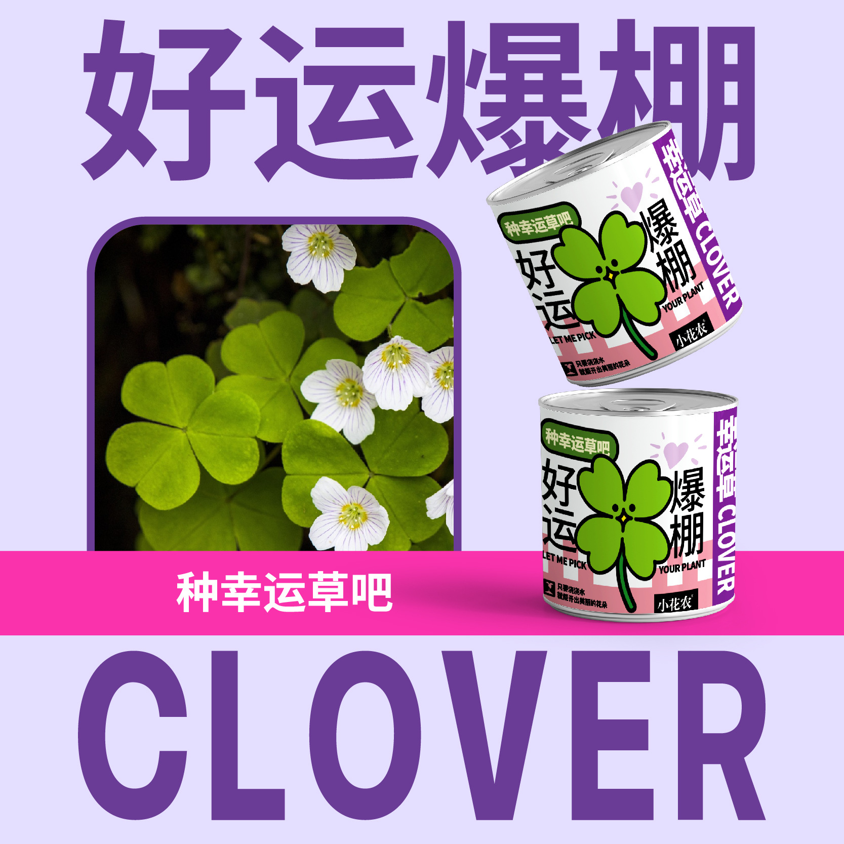 행운 버스트 (행운의 잔디)